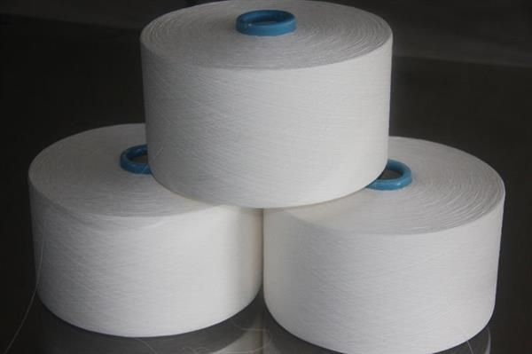 Polyester Viscose Waxed Ring Spun Yarn